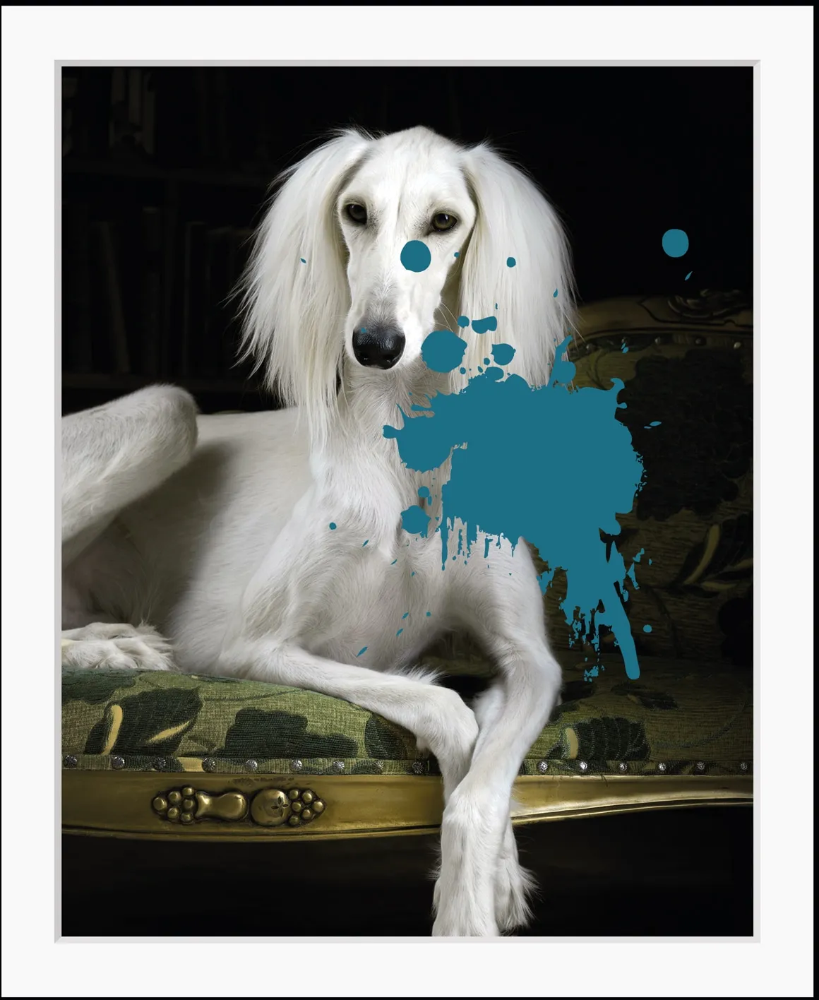 Bild »3.0«, Hunde, gerahmt, Hund, Farbklecks, Pudel, 56046813-0 weiß-blau B/H: 30 cm x 40 cm