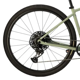 Specialized Diverge E5 Comp 2026 28 Zoll RH 52 cm Unisex grün/mint
