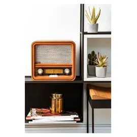 Camry CR 1188 braun