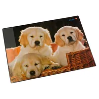 Läufer 46581 Schreibtischunterlage Hunde, 53x40 cm, rutschfeste Schreibunterlage für Kinder, Zubehör für Kinderschreibtisch, mit transparenter Seitentasche