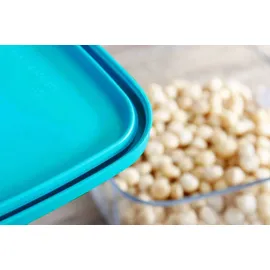 Frigoverre Bormioli Frigov Quadr 19X19