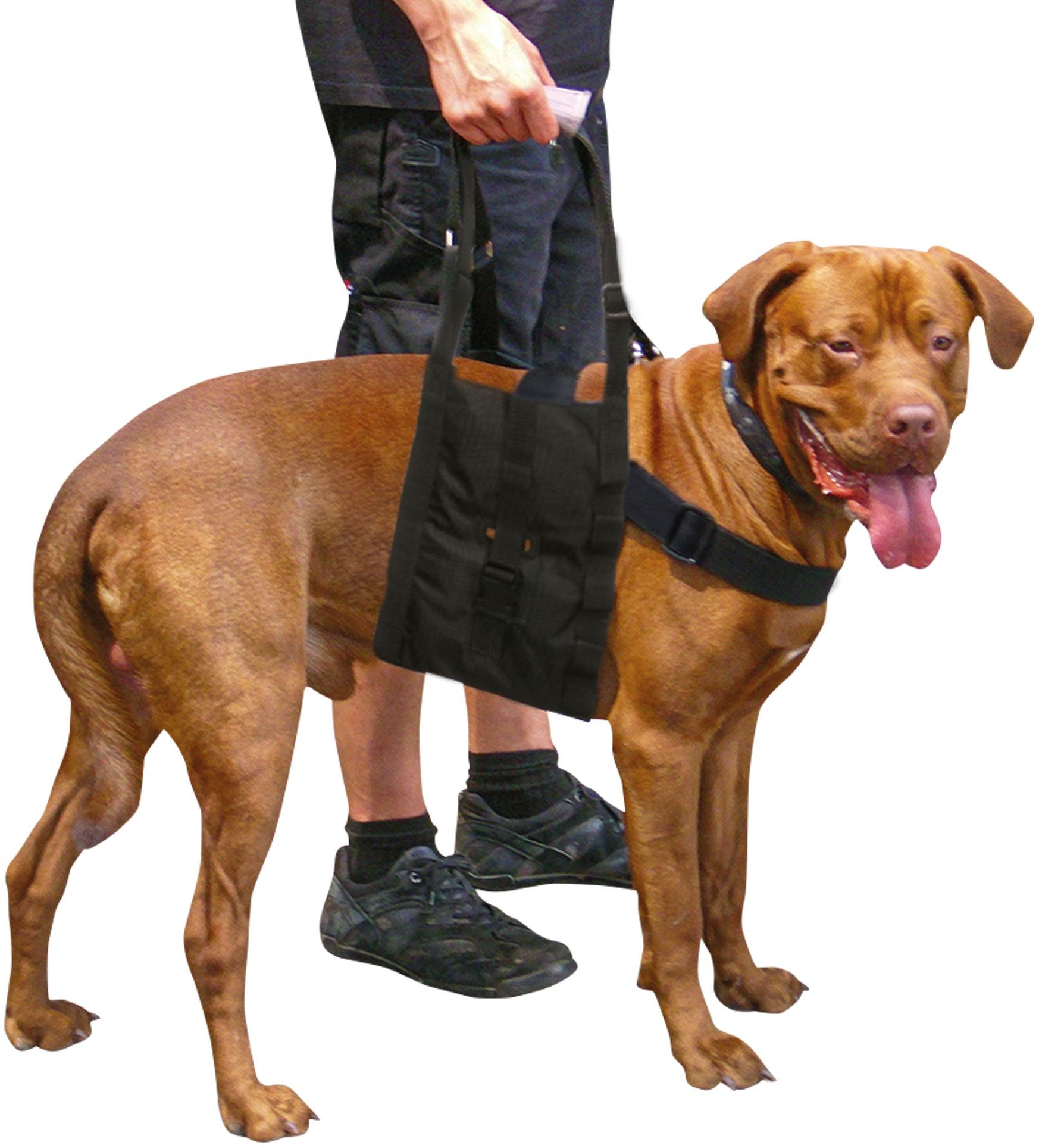 Beppo® Hunde-Gehhilfe 'One-Size' Hunde Tragehilfe für mittelgroße bis große 1 St