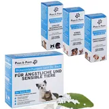 Paws & Patch Blütenmischung 3er Basis-Box 30 g