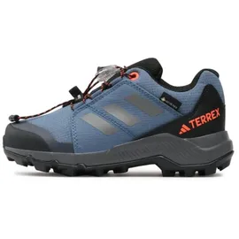 Adidas Terrex Gore-tex Hiking Shoes wonder steel/grey three/impact orange, (AELD) 3.5