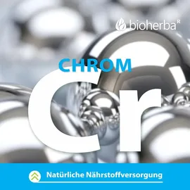 Bioherba L-Carnitin Kapseln 100 Stück
