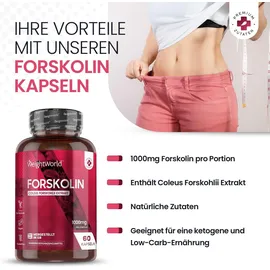 WeightWorld Forskolin 500 mg Kapseln 60 St.