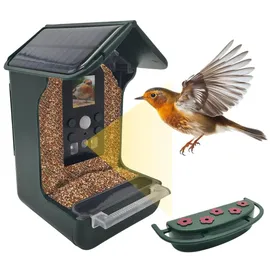 Berger & Schröter Futterhaus ES50BS 150 ml Vogel Grün, Grau mit Bewegungsmelder, Kamera, Speicherkarten-Slot, Solarpanel 1 St. ES50BS
