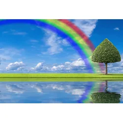 Fototapete PAPERMOON "regenbogen Wiese", bunt, B:4,00m L:2,60m, Vlies, Tapeten