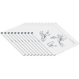 DataCard 552141-002 Reinigungskarten 10er Pack