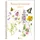 lv.buch Naturkalender 2027: Das Original von Marjolein Bastin seit über 35 Jahren. Illustrierter Wochenplaner für Naturfreunde und Gartenliebhaber mit praktischer Spiralbindung – inspirierend und persönlich