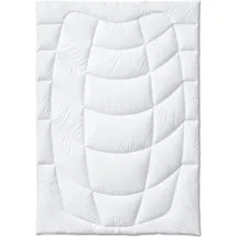 Kauffmann Wildseide Sommer-Bettdecke -200x200cm