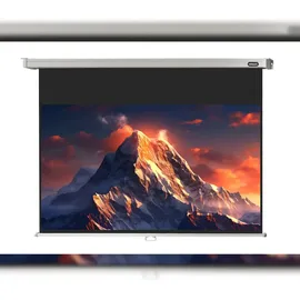 Celexon Rollo Professional 220x124 16:9