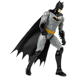 Spin Master DC Actionfigur sortiert
