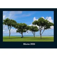Vero Kalender Bäume 2026 Fotokalender DIN A4 von Tobias