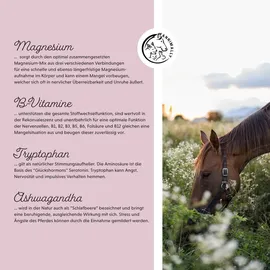 Annimally Nervenstärke Relax Pulver 2 kg