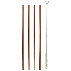 Edelstahl 4er Set Trinkhalme 21,5cm Strohhalme Barzubehör mit Bürste