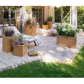 LECHUZA Palo Natural Wood 80 37 x 78,5 x 77 cm Hellbraun