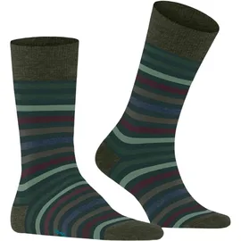 Falke Tinted Stripe Socken 39-42 Grün/Schwarz 39-42