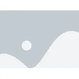 OEM Display für iPhone 12 mini In-Cell LCD Bildschirm Touch