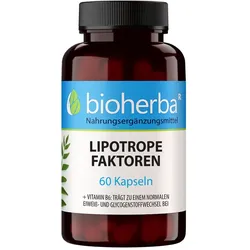 LIPOTROPE FAKTOREN 100 Kapseln 60 St