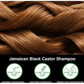 Aliver Rizinusöl Haarshampoo 300 ml