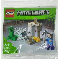 Lego Polybags; Minecraft; Harry Potter; Ninjago; Technik; Doctor Strange; Batman