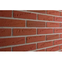 ELABRICK Verblender Oregon 50x210mm, Paketinhalt: 1m2