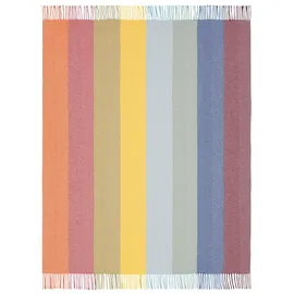 Biederlack Colour lines Kuscheldecke 150 x 200 cm Bunt