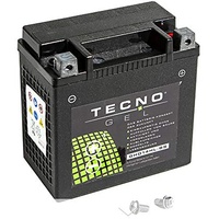 Premium TECNO-GEL Motorrad-Batterie HD14HL-BS = VTB-3 TWIN für HARLEY DAVIDSON XR 1200, X 2008-2012, 12V Gel-Batterie 12Ah, 149x87x144 mm inkl. Pfand