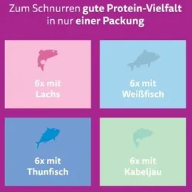 Whiskas Fisch Auswahl in Gelee 48 x 85 g