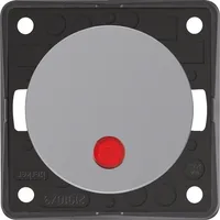 Berker Wipptaster gr 937722507