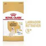 Royal Canin Adult 5+ Labrador Retriever