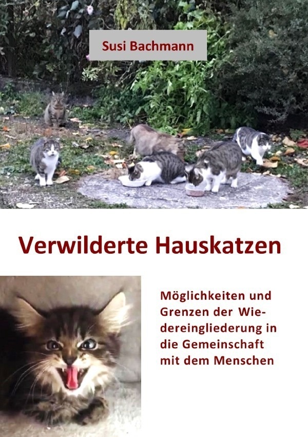 Verwilderte Hauskatzen - Susi Bachmann  Kartoniert (TB)