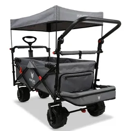 FUXTEC Fuxlife Smarter Bollerwagen FX-CTB800 Grau