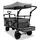 FUXTEC Fuxlife Smarter Bollerwagen FX-CTB800 Grau