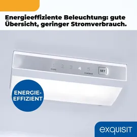 Exquisit KGC5195-65-NF-330E Kühl-Gefrierkombination (193 l, 1575 mm hoch, Schwarz)