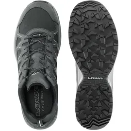 Lowa Innox EVO II GTX Schuhe (Größe 42,5