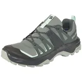 Salomon SHOES EXTEND 2 GTX W Sedsa/Wrought iron, sedona Sage/Wrought Iron/Lichen