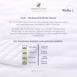 HANSKRUCHEN Hanskruchen, Wolke 7 (420 g, Daune, 200 x 220 cm