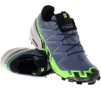 Salomon Speedcross 6 Gore-Tex Herren flint stone/green gecko/black 42 2/3