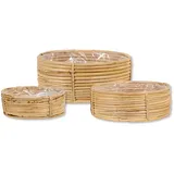 DARO DEKO Rattan Korb Schale 3er Set rund mit Einsatz Blumentopf geflochten Aufbewahrungskorb Übertopf Blumenkorb