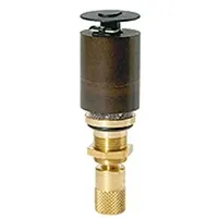 Riegler Automatisches Ablassventil für »multifix«, »FUTURA«, »Standard«