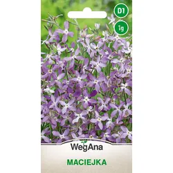 Maciejka 3g Maciejka-Samen - WegAna