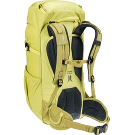 Deuter Climber 22 l sprout/linden