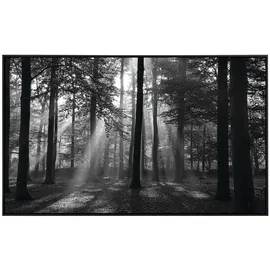 Papermoon Infrarotheizung »EcoHeat - Forrest Morgen in schwarz+weiss«, Matt-Effekt - bunt