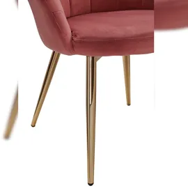 FineBuy Esszimmerstuhl Tulpe Samt / Metall Gepolstert Küchenstuhl Schalenstuhl