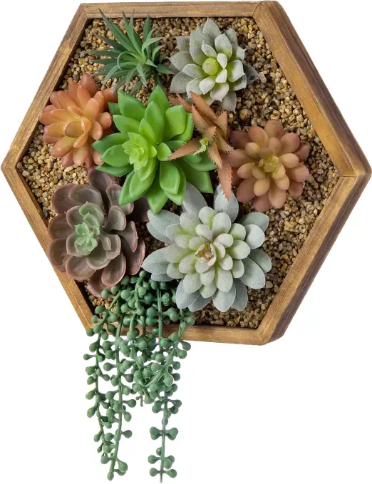 MyGift 3D Kunst Wanddekoration mit Sukkulenten, vertikale sechseckige rustikale Holzpflanzbox im verbrannten Look, künstliche Sukkulenten und künstliche Perlenschnur-Dekoration