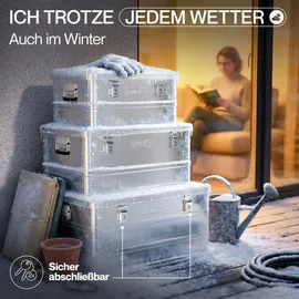 Trucky Aluminium Box mit Deckel 85 l 1-tlg. silber