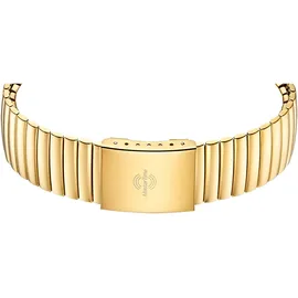 Master Time MTGA-10946-12Z Herren-Funkuhr Daily Zugband Goldfarben