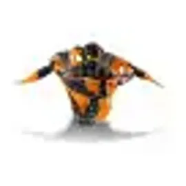 LEGO Ninjago Spinjitzu Cole 70662